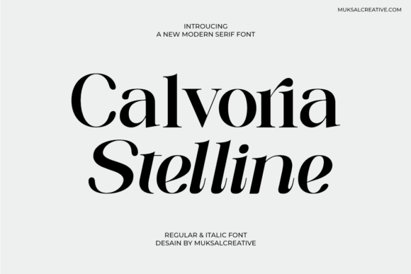 Calvoria Stelline: A Serif Font That Elevates Small Business Branding