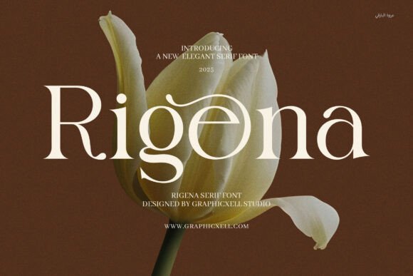 Rigena: The Serif Font That Elevates Your Crafts