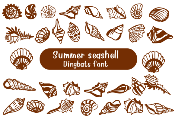 Summer Seashell: The Font That Refreshed My Brand's Look