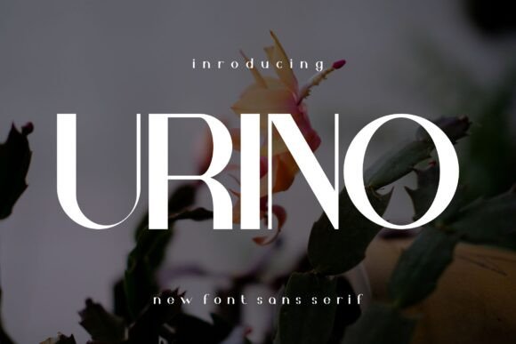Urino: A Serif Typeface Built for Digital Design