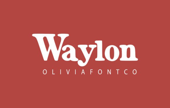 Waylon Font Review